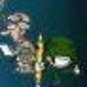 Meet your Posher, Dan